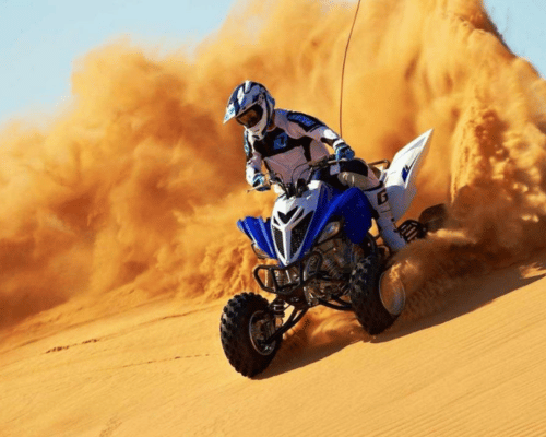 morning desert safari with quad bike