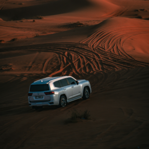 Private Car Evening Desert Safari (Upto 6 Person)