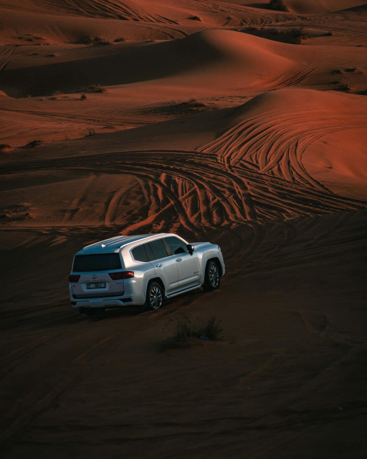 Private Car Evening Desert Safari (Upto 6 Person)