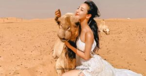 Camel Ride