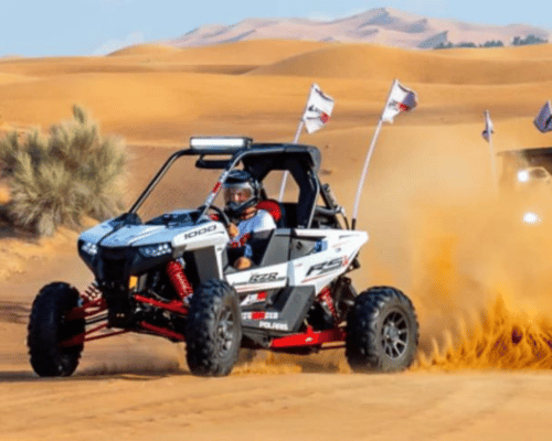 Morning Desert Safari With Buggy